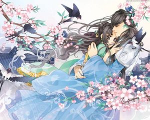 两只小雏鸟动画片